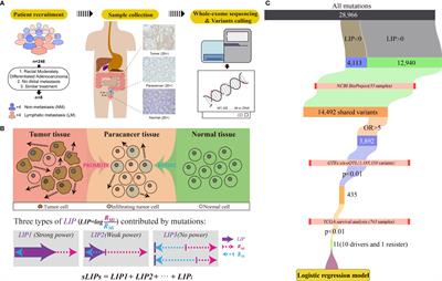 Discovering Innate Driver Variants for Risk Assessment of Early Colorectal Cancer Metastasis